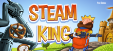 Steam King