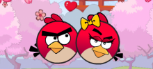 Angry Bird Seek Wife