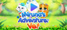 Miruna’s Adventure: Vet